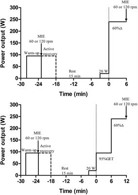 Changes in VO2 Kinetics After Elevated Baseline Do Not Necessarily Reflect Alterations in Muscle Force Production in Both Sexes